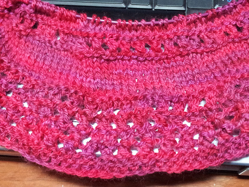 SummerWind_CherryTreeHill_WildCherry