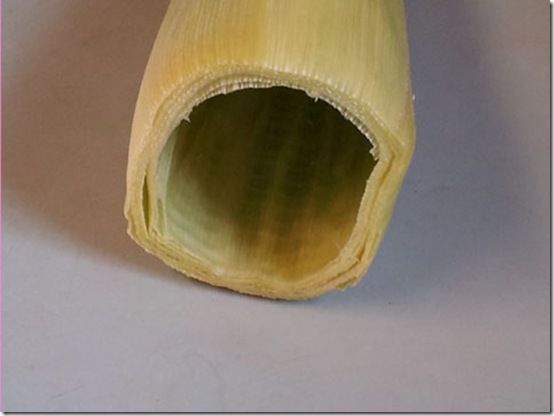 2012-05-27 18.24.01edit